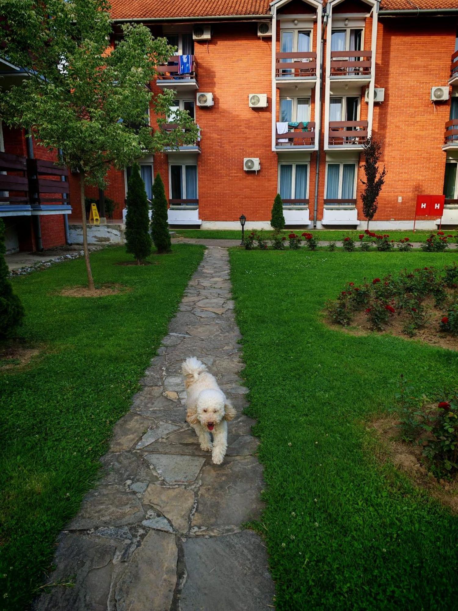 Apartmani La Magaza Banja Vrujci Berkovac Exterior photo